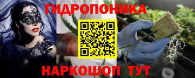 амф Будённовск