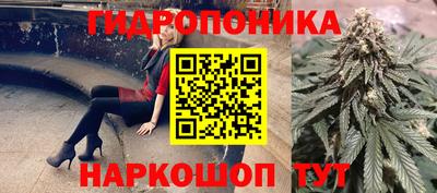 амф Будённовск