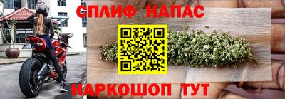 амф Будённовск