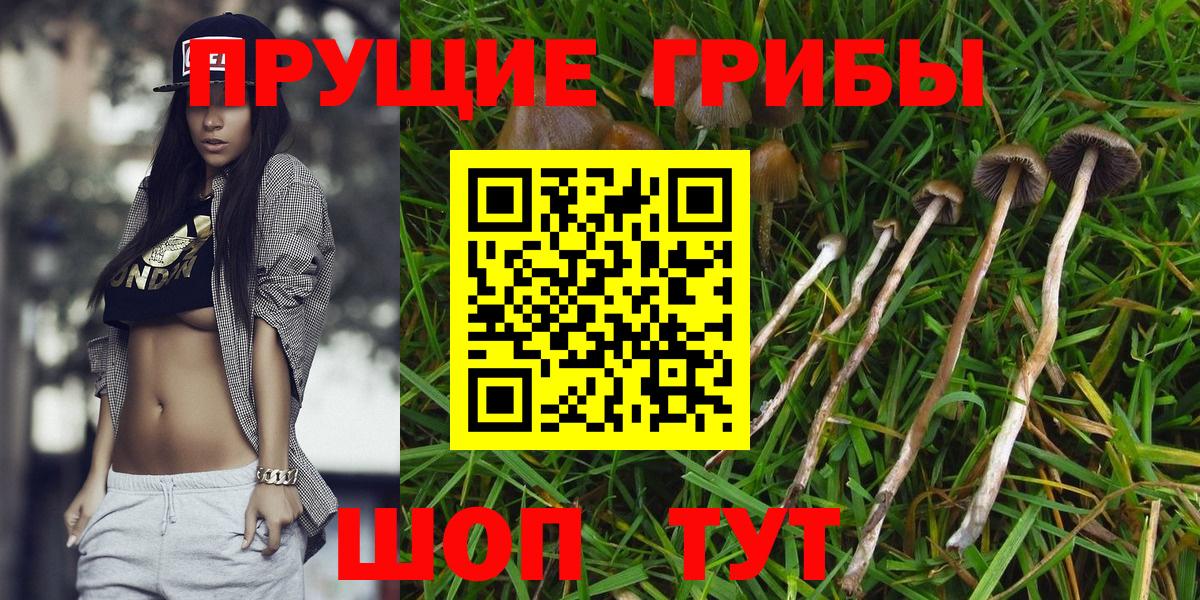 где купить   Вход с VPN  Прохладный  Галлюциногенные грибы ЛСД  Галлюциногенные грибы мухоморы 